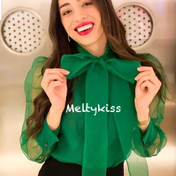 NWT ZARA SEMI-SHEER ORGANZA BLOUSE WITH TIE Sz-XS - Picture 8 of 8